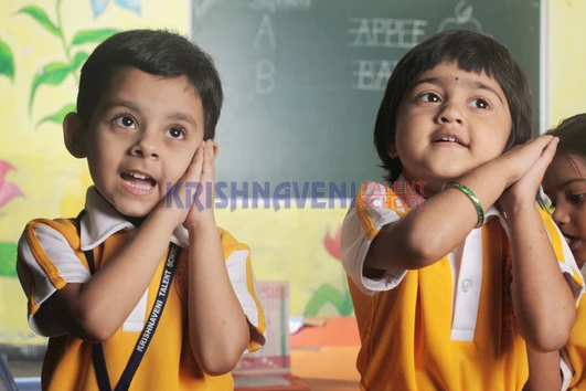 Duis consequat arcu et lacus